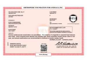 AG GOLDEN AGE ALLY BASIC CARDIAC 06 19 2022 BASIC CARDIAC 1